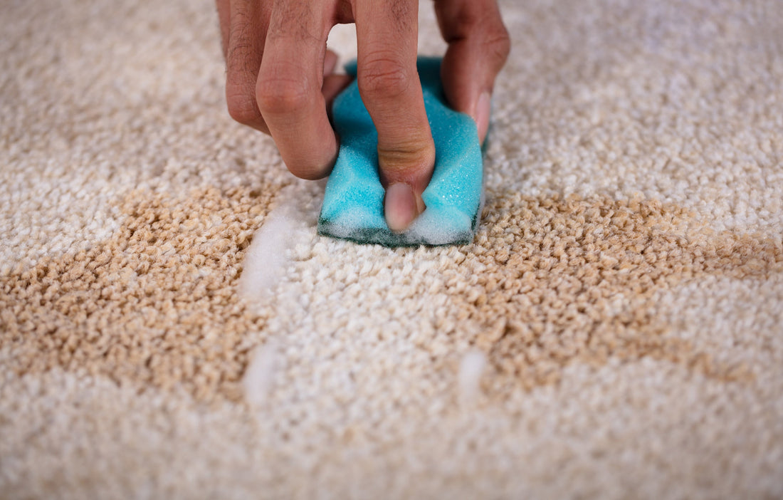 Ring in a Spotless New Year with Stingray!